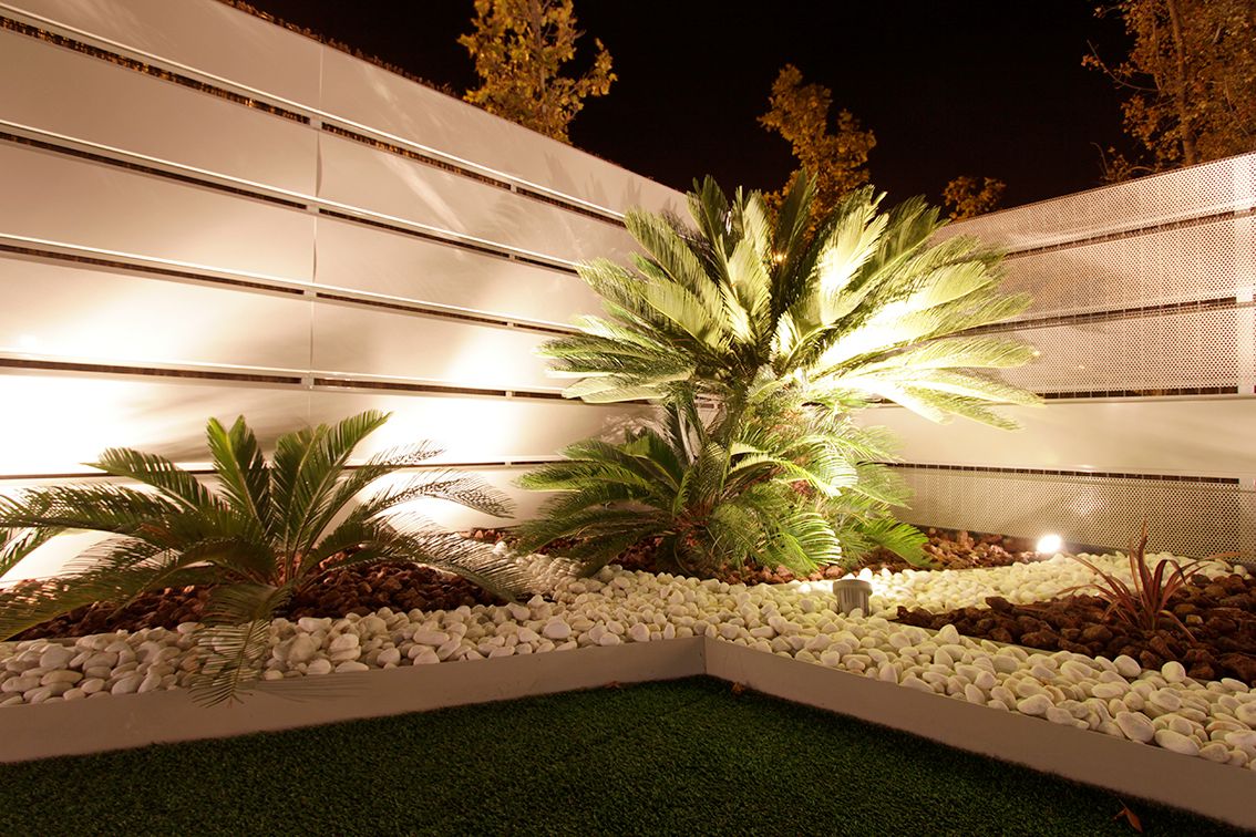 jardin con palmera de noche