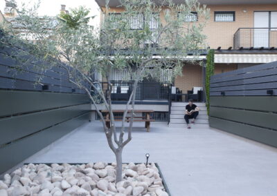 arbol de la terraza de dia